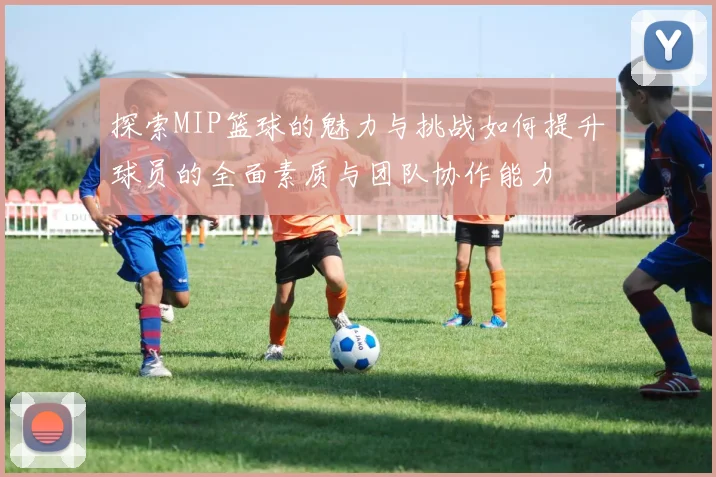 探索MIP篮球的魅力与挑战如何提升球员的全面素质与团队协作能力